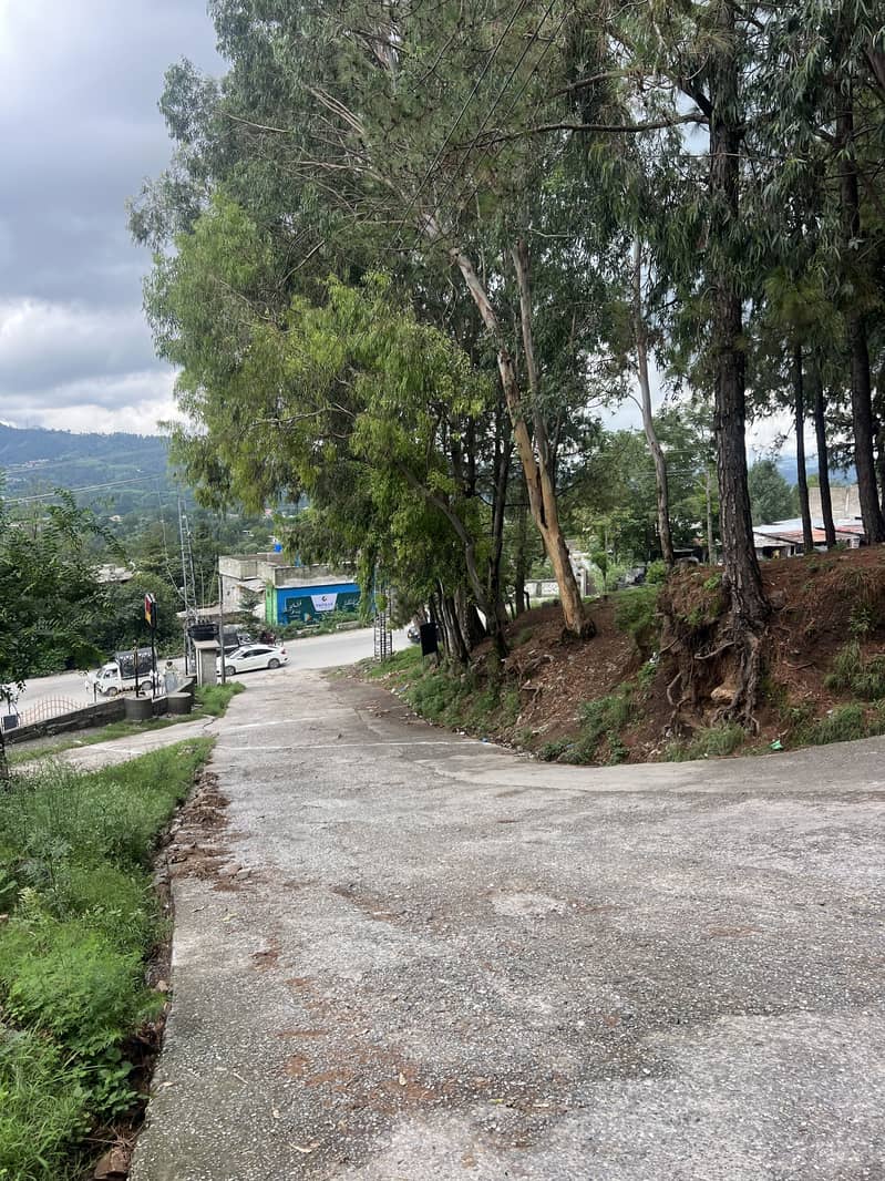 Semi comerical plot on main KKH 3