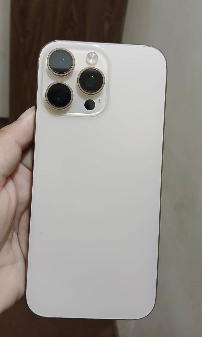 Apple iPhone 16 Pro Max 1