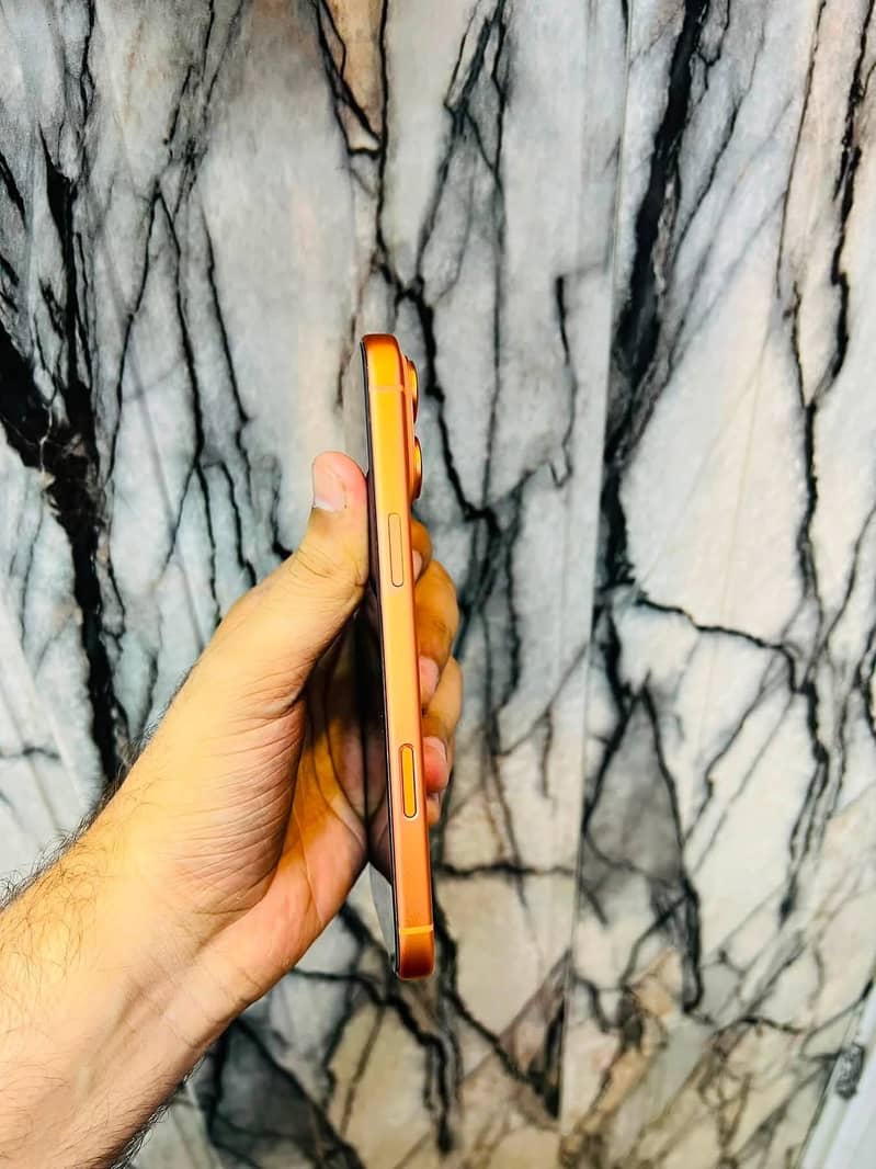 Apple iPhone 17 Pro Max 3