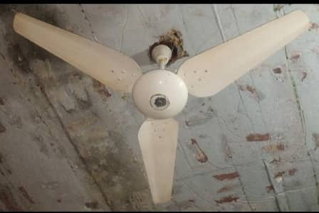 1 Royal fan 1 Lahore fan  56"  for sale pure Cooper winding