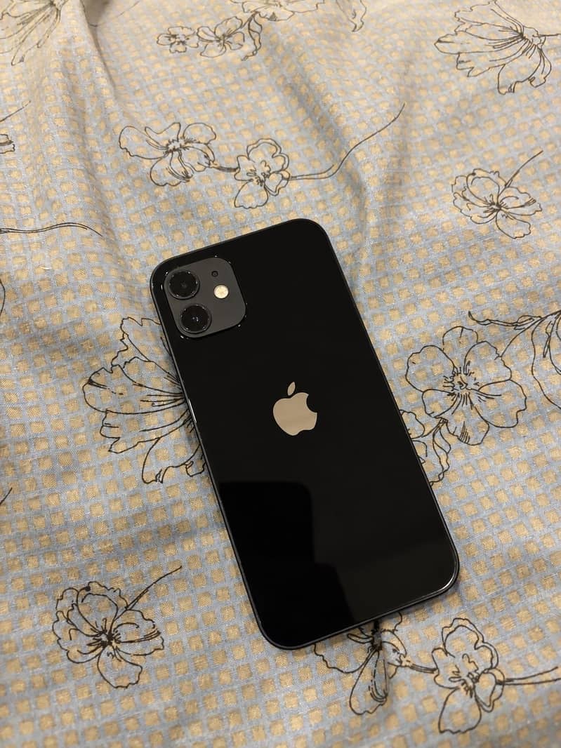 Apple iPhone 12 1
