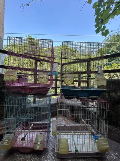 birds cages available for sale
