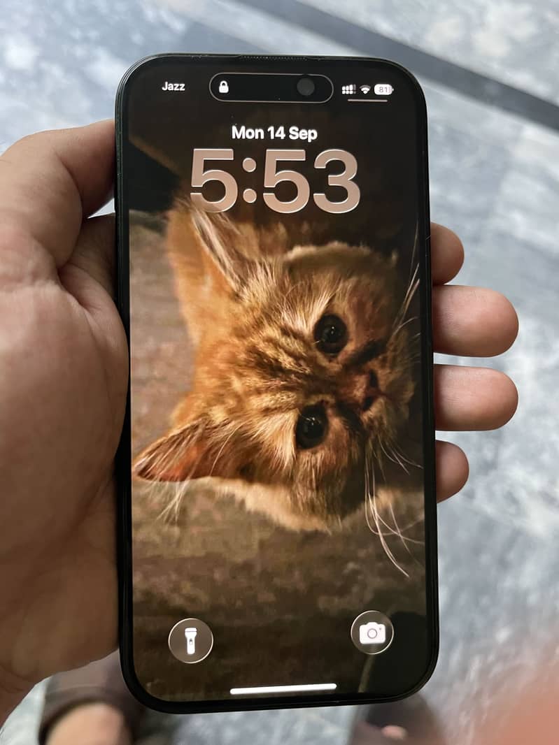 Apple iPhone 15 3