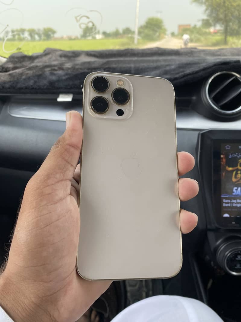 iPhone 13 Pro Max 1