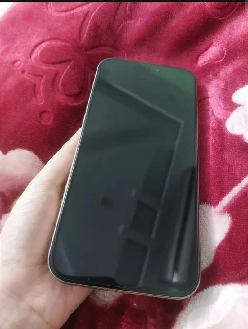 Apple iPhone 16 Pro Max 1
