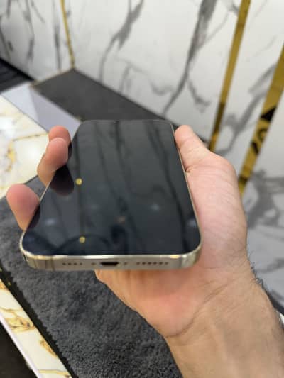 iPhone 13 promax