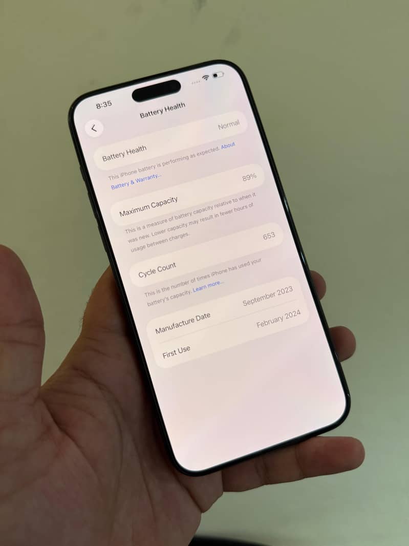 Apple iPhone 15 Pro Max 1