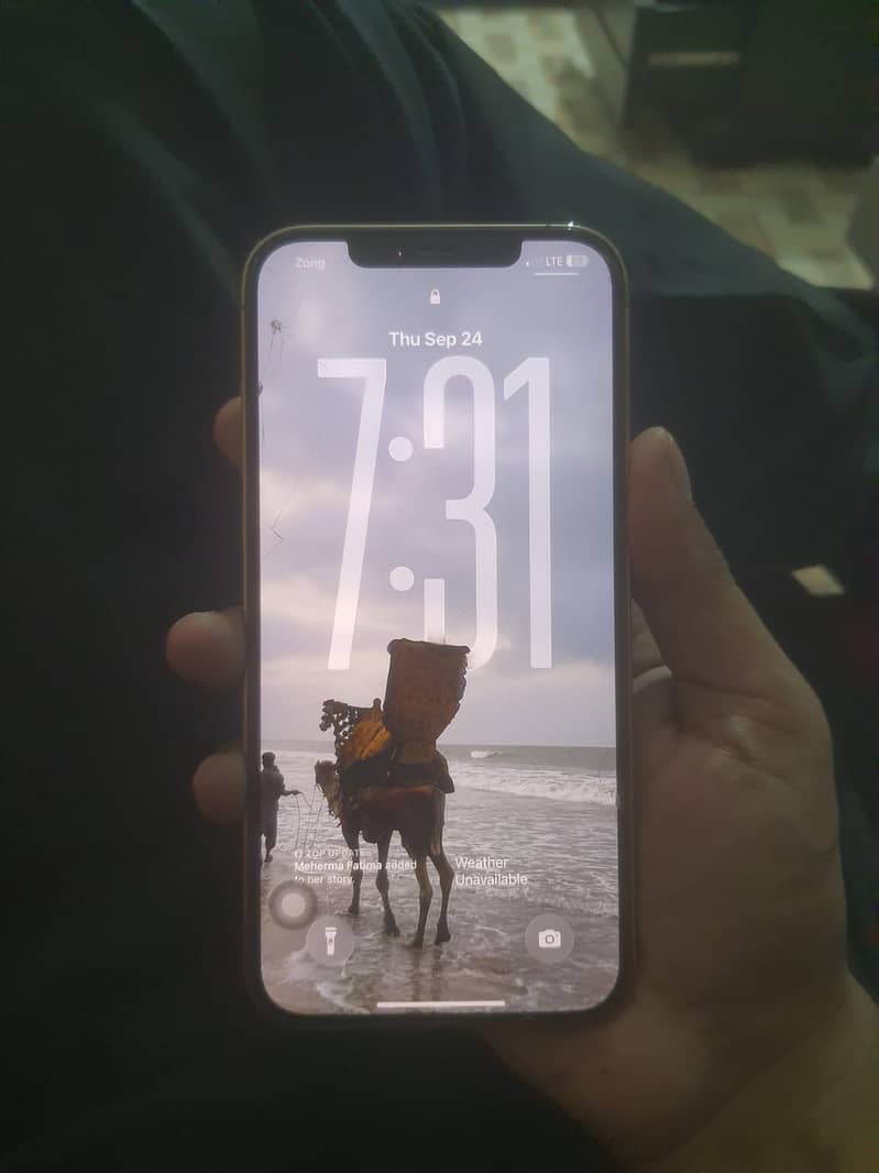 Apple iPhone 12 Pro Max 0