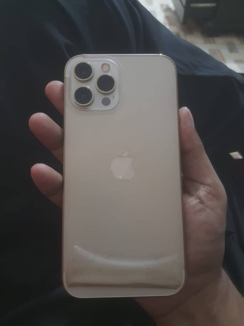 Apple iPhone 12 Pro Max 1