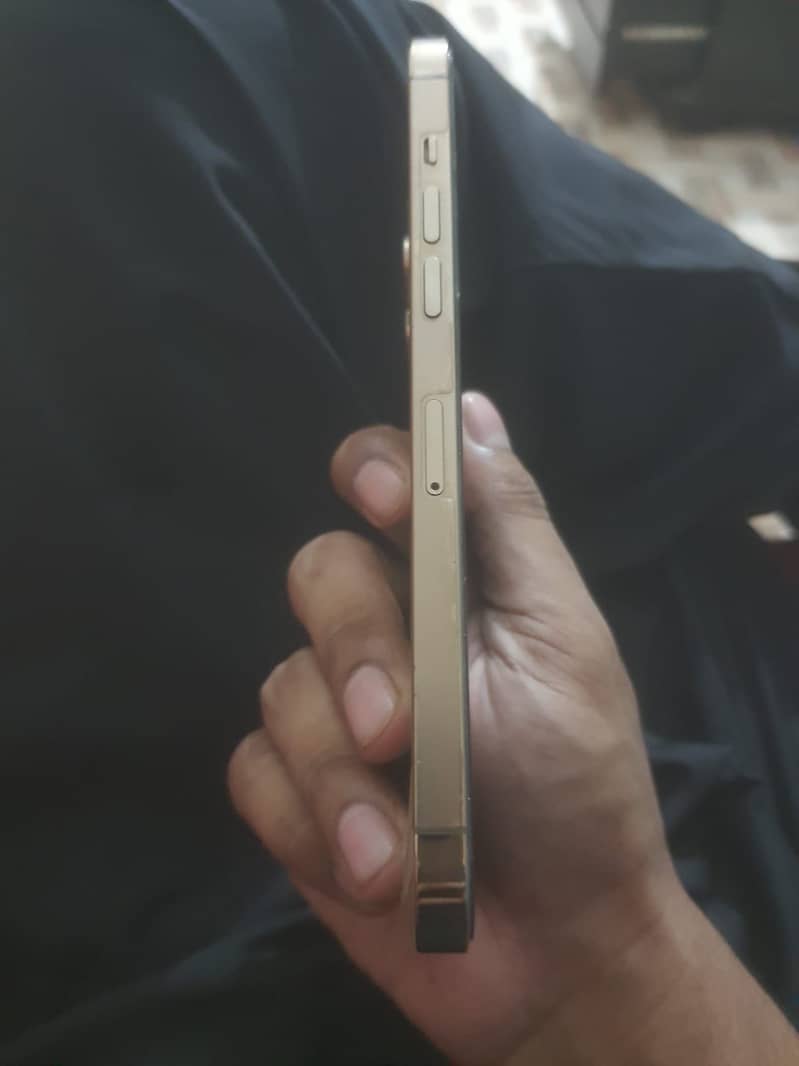 Apple iPhone 12 Pro Max 2