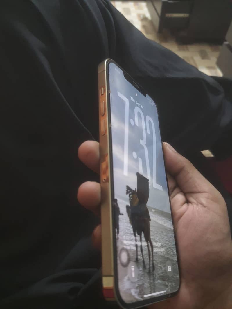 Apple iPhone 12 Pro Max 5