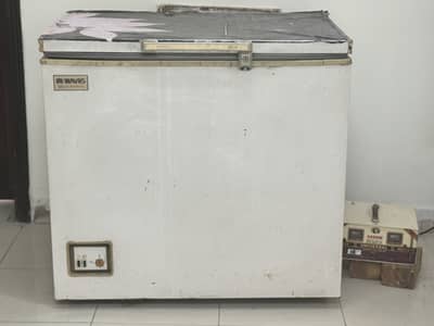 Single door freezer