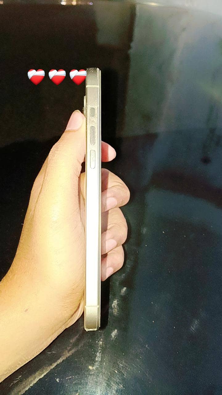 Apple iPhone 15 Pro Max 4