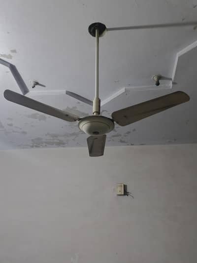 6 ceiling fans for sale (urgent)