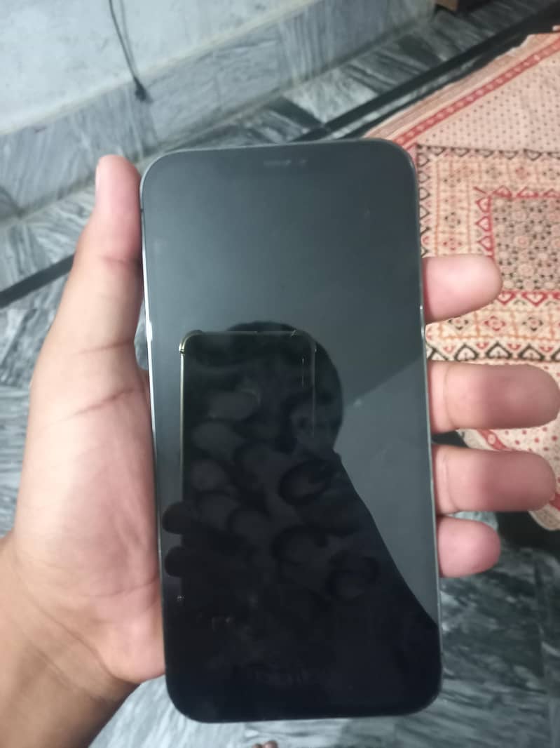 Apple iPhone 12 Pro Max 0