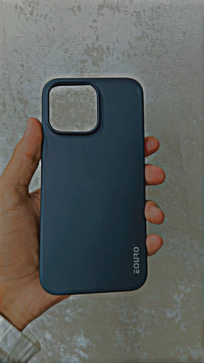 15 pro max case 2