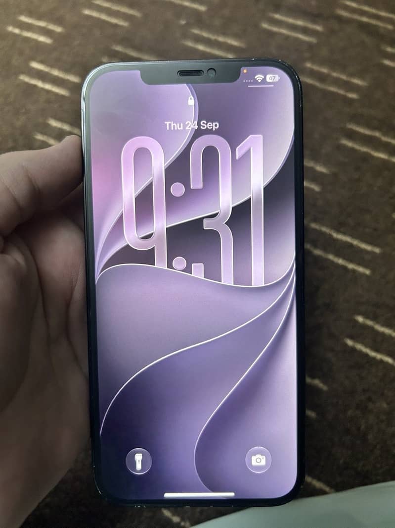 Apple iPhone 12 Pro Max 9