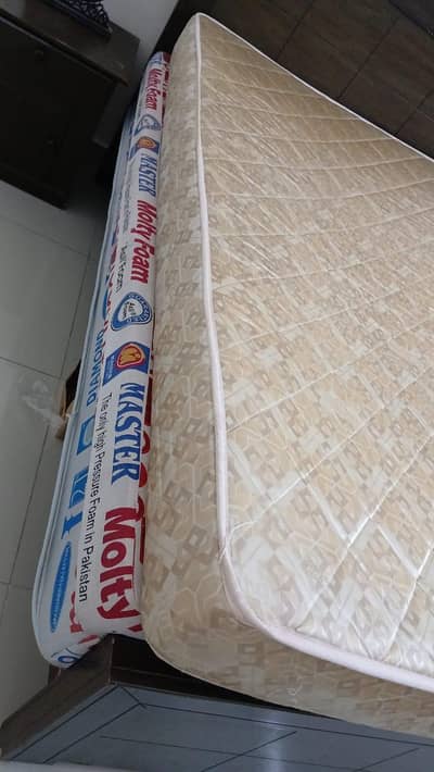 Master Molty foam king bed size mattress