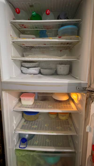 pel top mount Double door refrigerator