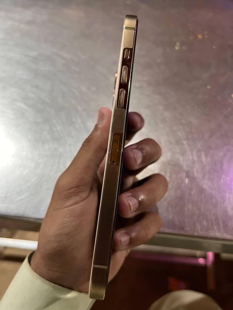 Apple iPhone 12 Pro Max 1