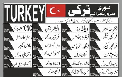 Turkey work visa