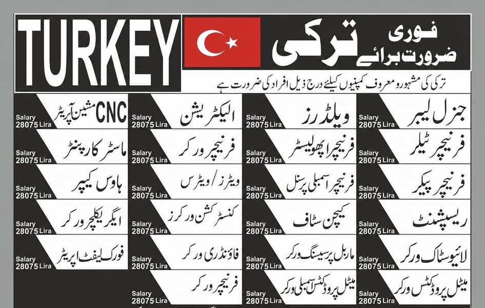 Turkey work visa 0