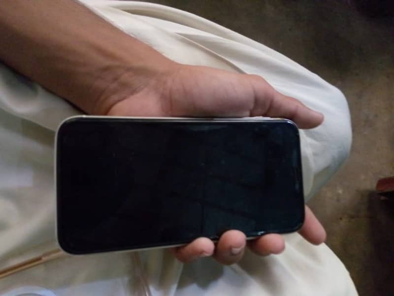 Apple iPhone 11 0