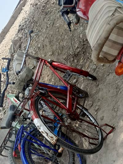 Cycle for sale in RYK