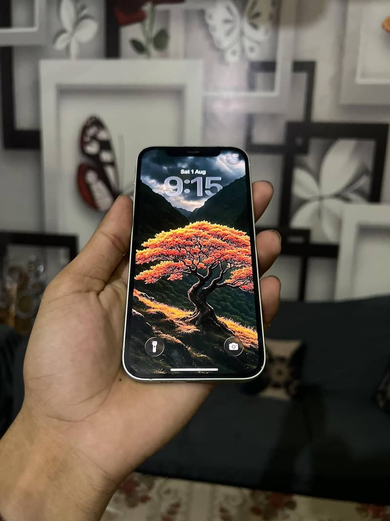 Apple iPhone 12 1