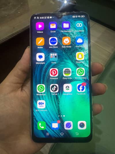 Vivo S1