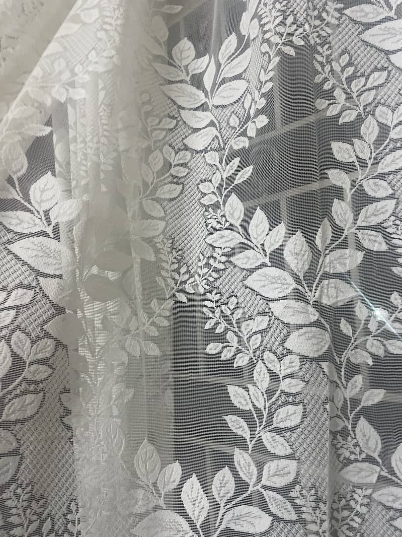 curtains 1