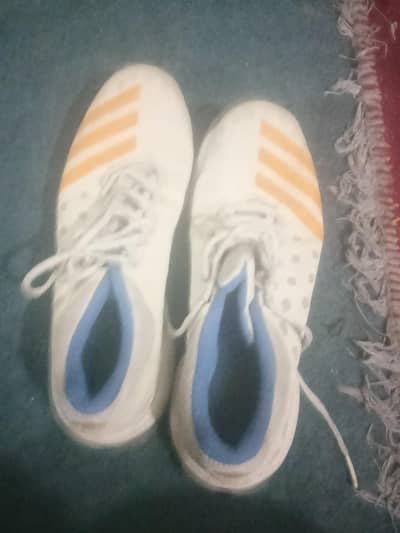 Adidas Spikes for Batters and spinners