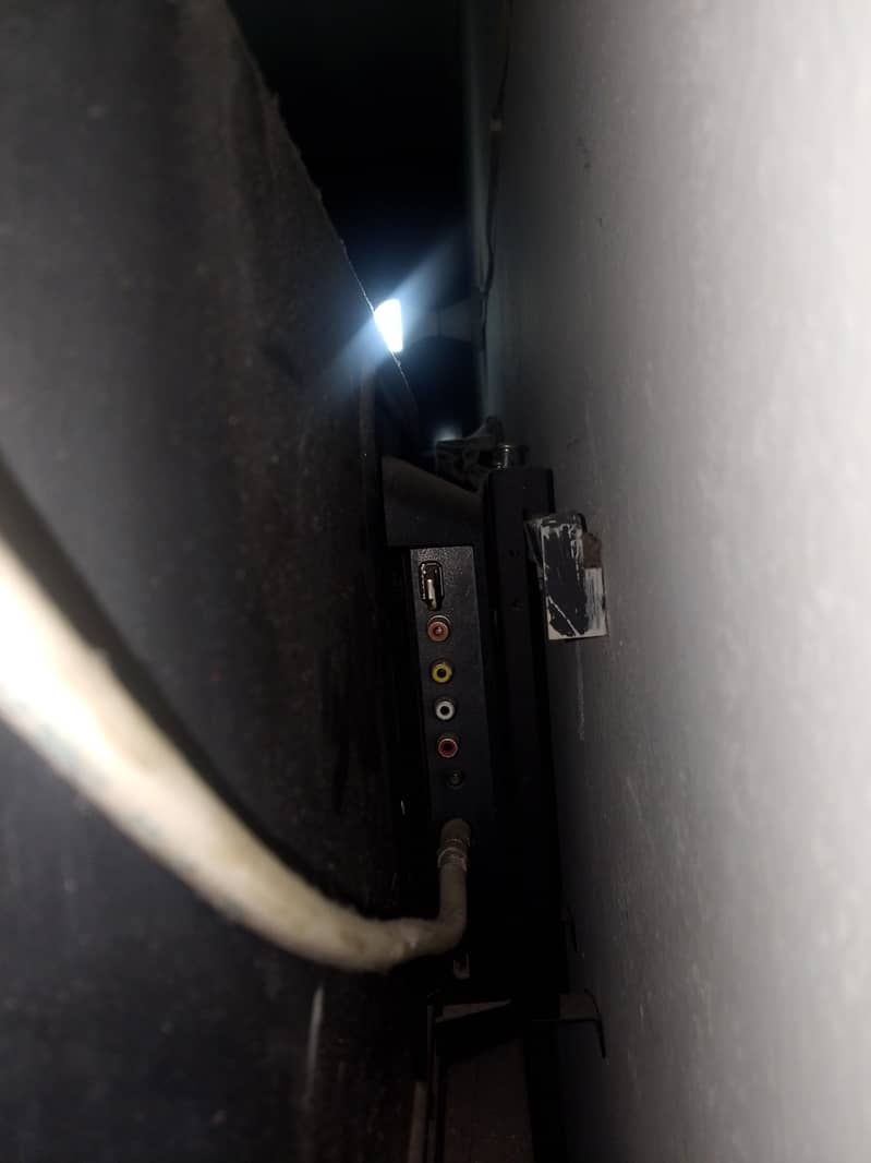 TCL LED 1