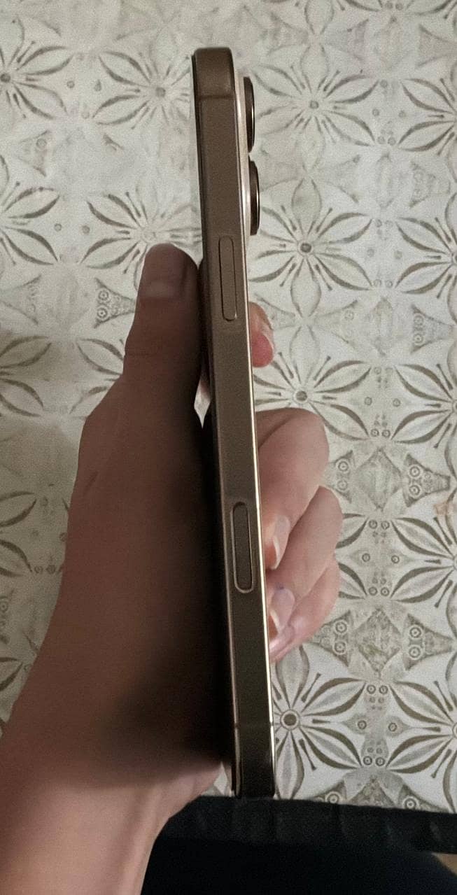 Apple iPhone 16 Pro Max 1
