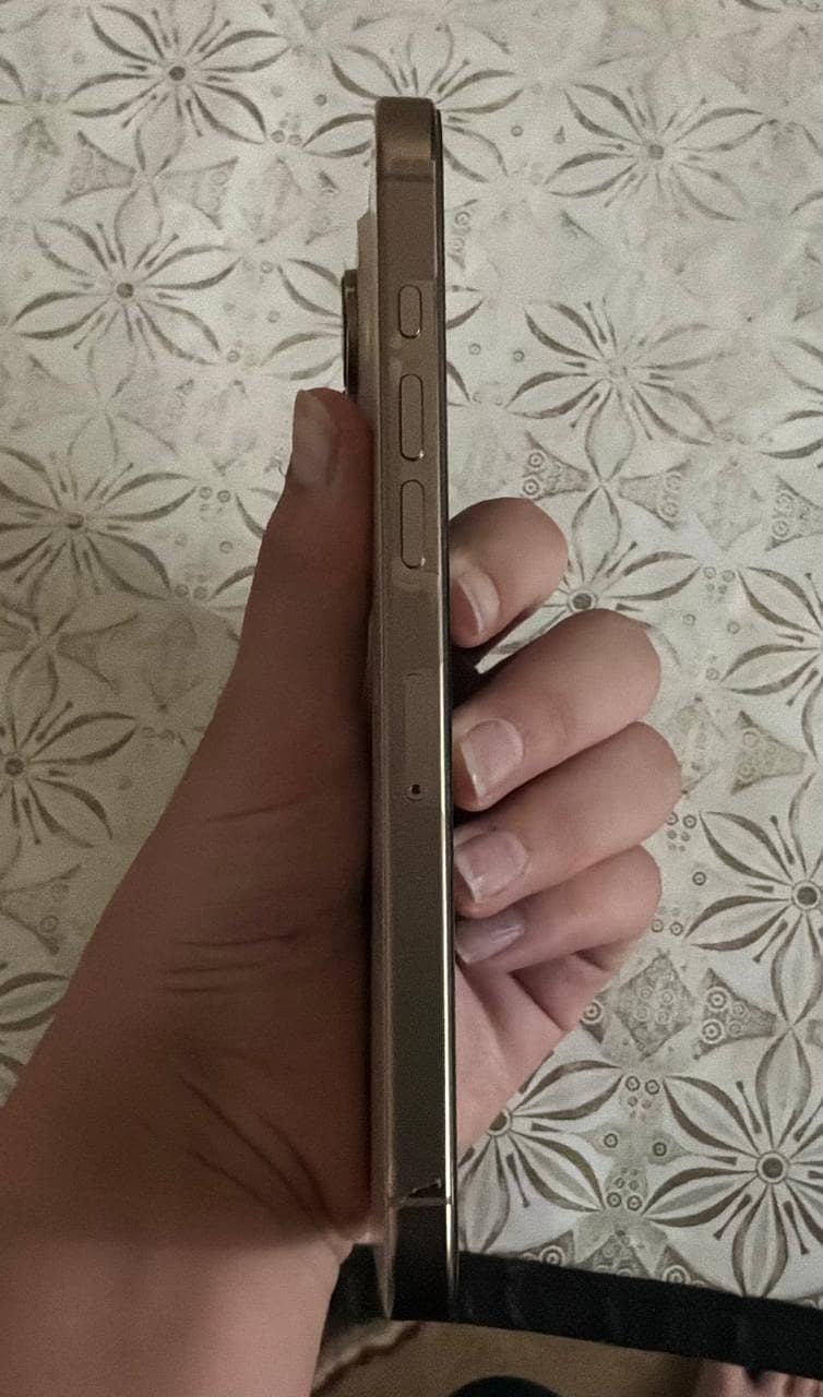 Apple iPhone 16 Pro Max 3