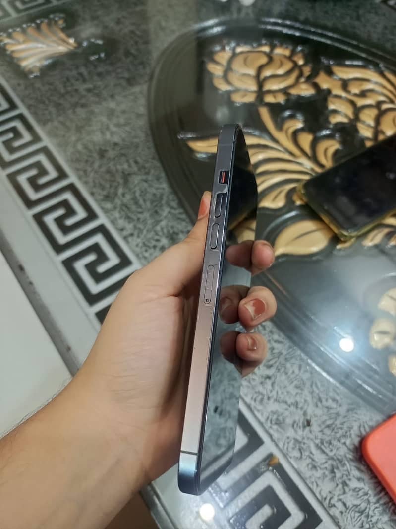 Apple iPhone 13 Pro Max 2