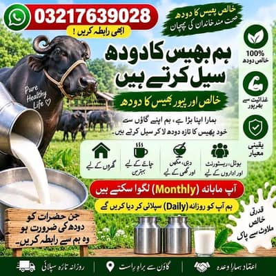 Milk Supply