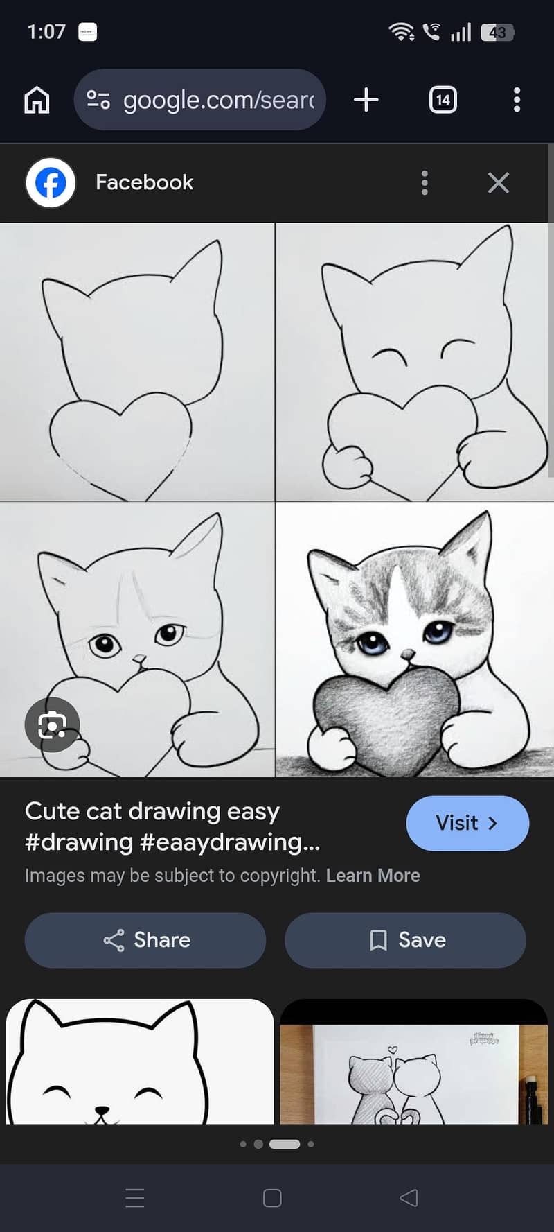 Persian kittens 0