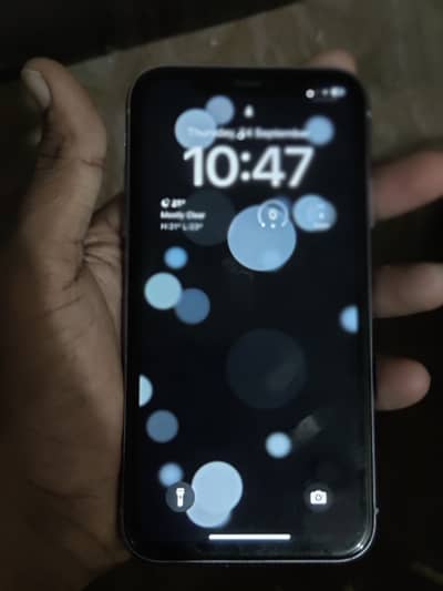 Apple iPhone 11