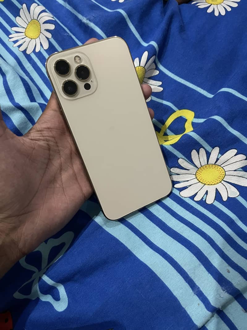 Apple iPhone 12 Pro Max 1