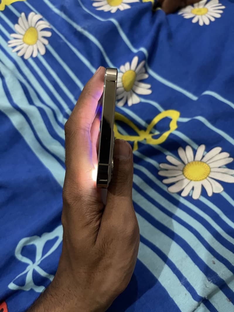 Apple iPhone 12 Pro Max 2