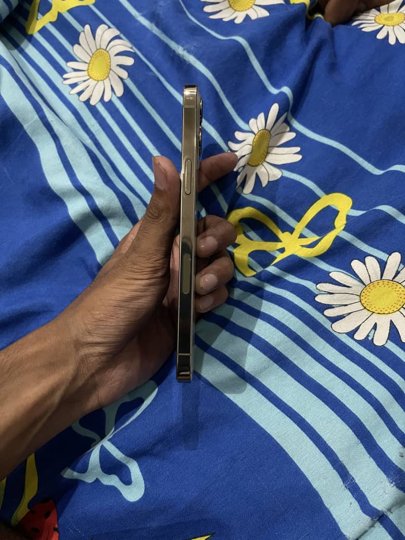 Apple iPhone 12 Pro Max 3