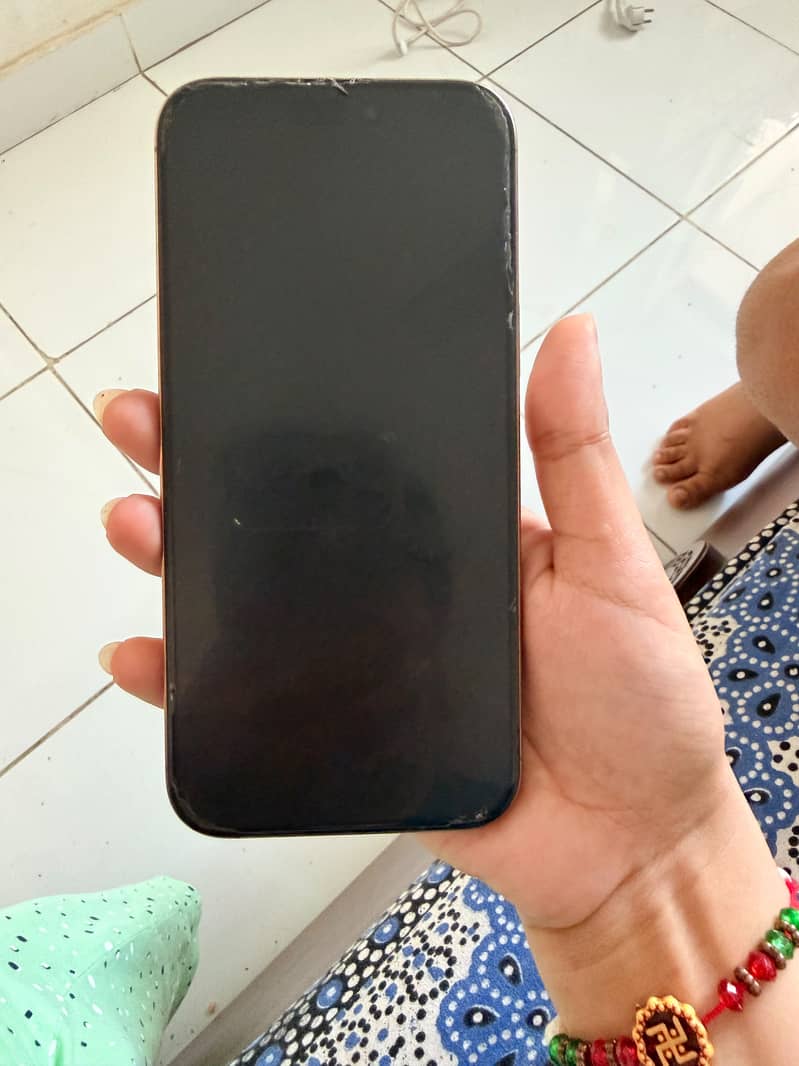 Apple iPhone 16 Pro Max 1