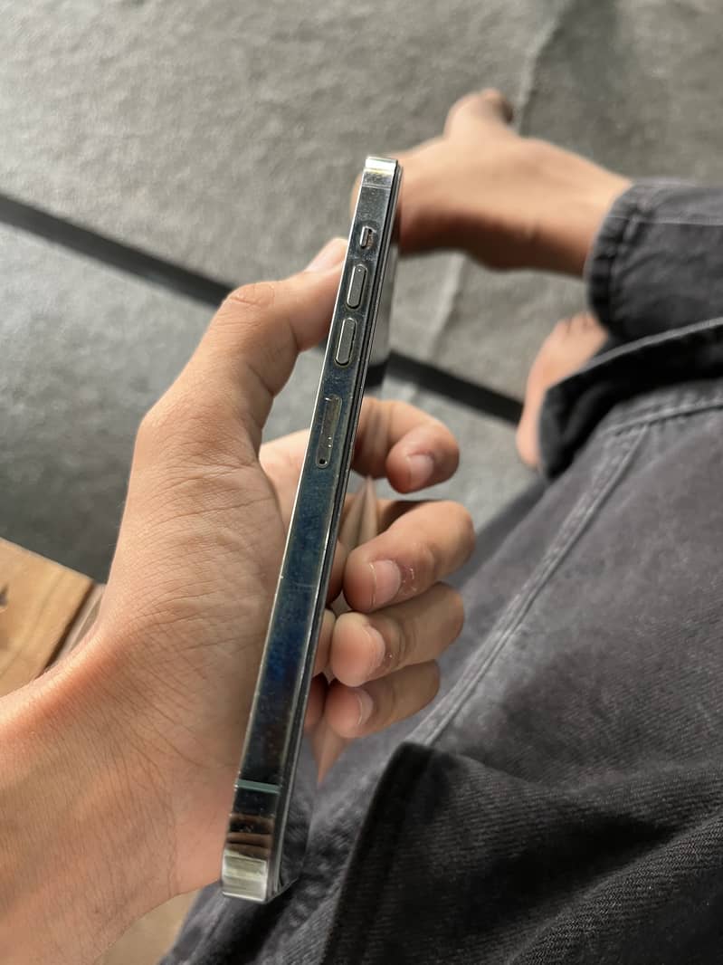 Apple iPhone 13 Pro Max 1
