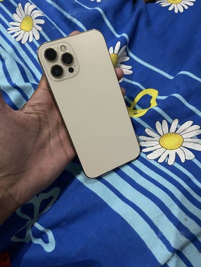Apple iPhone 12 Pro Max