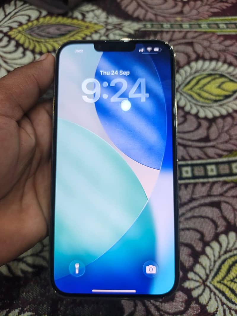 Apple iPhone 13 Pro Max 1