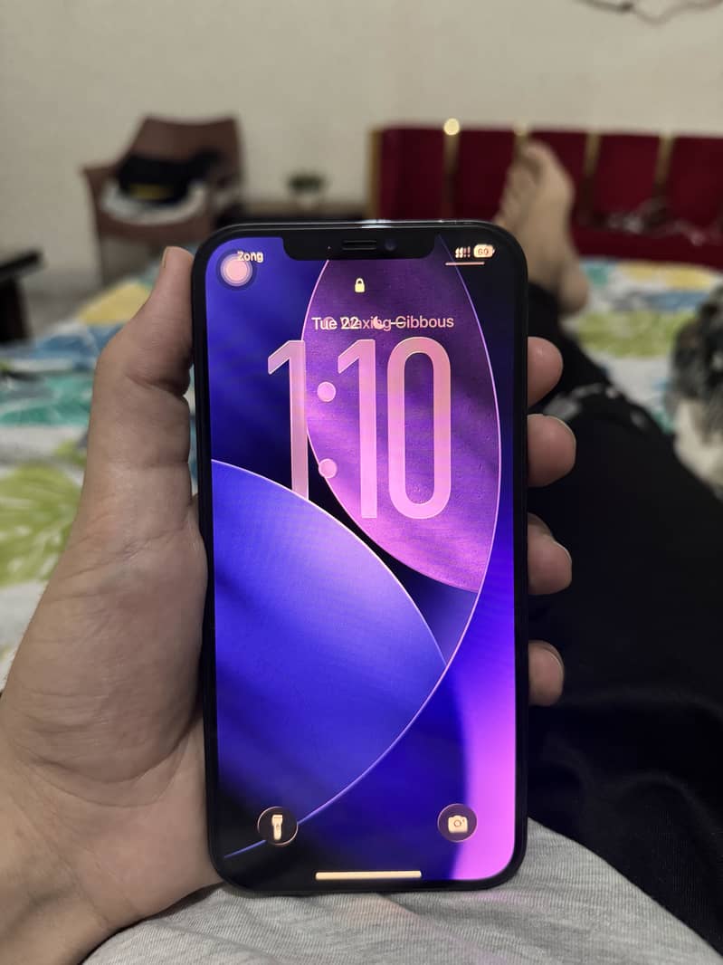 Apple iPhone 12 Pro Max 11