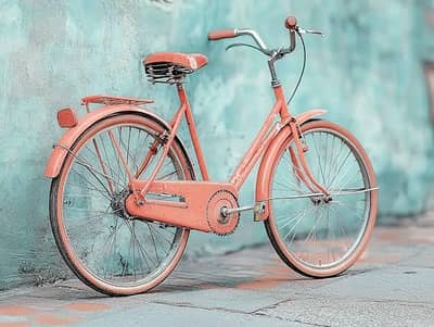Fox bike cycle 24
