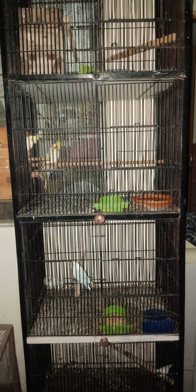 four portion cage metal