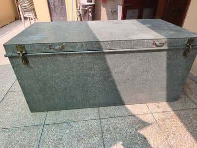 Trunk Paity